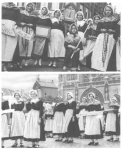 Van Caillie (1987, pl. 124) Van Caillie (1987, pl. 124)