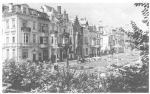 Van Caillie (1987, pl. 125) Van Caillie (1987, pl. 125)