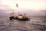 Z.86 Manta (Bouwjaar 1986) haalt netten op