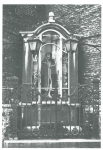 Van Caillie (1991, pl. 137) Van Caillie (1991, pl. 137)