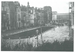 Van Caillie (1991, pl. 159) Van Caillie (1991, pl. 159)