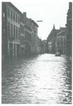 Van Caillie (1991, pl. 161) Van Caillie (1991, pl. 161)