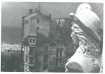 Van Caillie (1991, pl. 172) Van Caillie (1991, pl. 172)