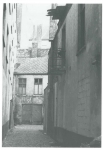 Van Caillie (1991, pl. 178) Van Caillie (1991, pl. 178)