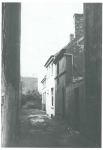 Van Caillie (1991, pl. 182) Van Caillie (1991, pl. 182)