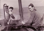 Garnalen koken