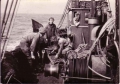 Vangst uitlezen aan boord garnaalkotter Z.475 Annie (Bouwjaar 1943)