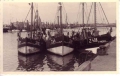 Garnaalvissers aan steiger van oude vissershaven Zeebrugge