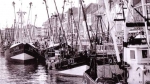 Garnaalvissers in Montgomerydok Oostende