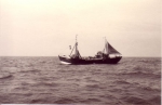 Z.603 Roland (Bouwjaar 1950)