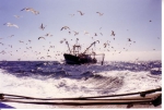 Onbekend schip (Z.90 of Z.91?)