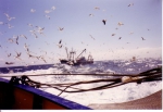 Onbekend schip
