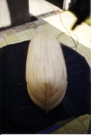 Bouw scheepsmodel
