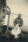 Andr� Van Torre met vangst op de Z.520 De Drie Gebroeders (Bouwjaar 1926)