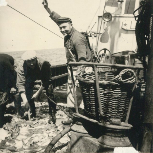 Vissers met vangst aan boord van de Z.562 Luc (bouwjaar 1956)