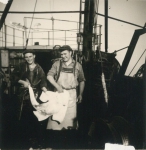 Vissers met vangst aan boord van de Z.562 Luc (bouwjaar 1956), author: Onbekend
