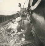 Raf Calus met net op de Z.562 Luc (Bouwjaar 1956), author: Onbekend