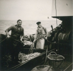 Vangst kuisen aan boord van de Z.402 Atlantis (Bouwjaar 1963), author: Onbekend