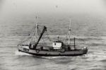 Z.184
