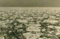 Kustwater Belgisch deel van de Noordzee dichtgevroren tijdens de harde winter van 1962-1963. Wie meer info heeft over dit beeld kan mailen naar info@vliz.be. De foto maakt deel uit van de privécollectie van Jan De Voogt.