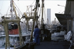 Vismijn Zeebrugge