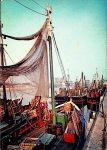 Onbekende schepen