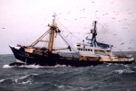 Z.318
