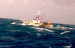 Z.296 Mooie Meid (bouwjaar 1980)