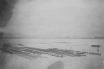 Oesterkweek in de Spuikom, 1937-1938