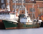 O.306 CLEANER