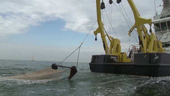 A-frame met boomkor, achteraanzicht