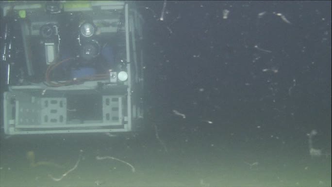 ROV Genesis, onderwaterzicht