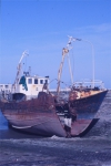 O.118 DANDY