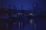 Lossen van de vangst