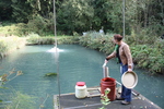 Voederen beekforel INBO Linkebeek