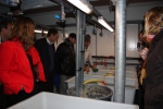 Experimentele kweekinstallaties INBO Linkebeek