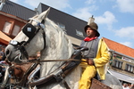 Paardenvissers