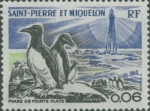 St. Pierre and Miquelon, Pointe Plate St. Pierre and Miquelon, Pointe Plate