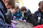 Planeet Zee editie 2013