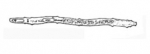 Platyhelminthes