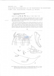 Nematode file-library of the Marine Biology Section (Ghent University, Belgium)