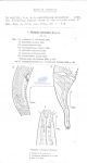 Nematode file-library of the Marine Biology Section (Ghent University, Belgium)