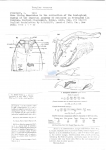 Nematode file-library of the Marine Biology Section (Ghent University, Belgium)