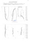 Nematode file-library of the Marine Biology Section (Ghent University, Belgium)