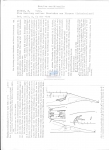 Nematode file-library of the Marine Biology Section (Ghent University, Belgium)