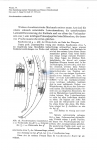 Nematode file-library of the Marine Biology Section (Ghent University, Belgium)