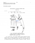 Nematode file-library of the Marine Biology Section (Ghent University, Belgium)