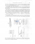 Nematode file-library of the Marine Biology Section (Ghent University, Belgium)