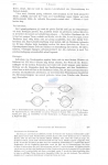 Nematode file-library of the Marine Biology Section (Ghent University, Belgium)