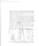 Nematode file-library of the Marine Biology Section (Ghent University, Belgium)